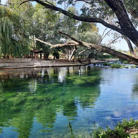 Guest House Green River Ljubuški エクステリア 写真