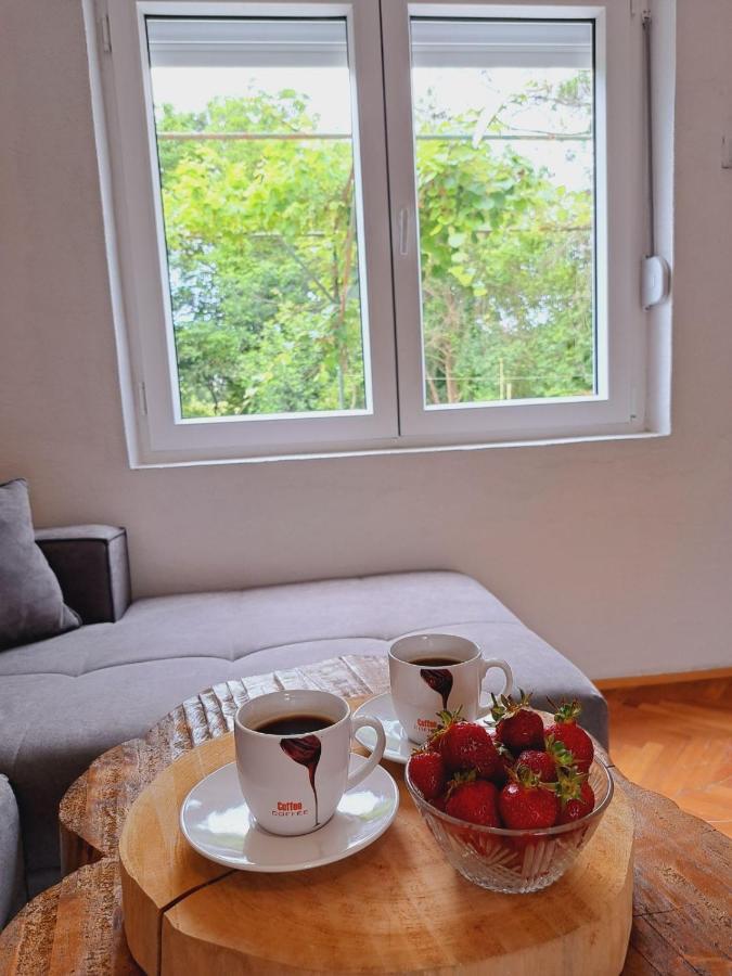 Guest House Green River Ljubuški エクステリア 写真